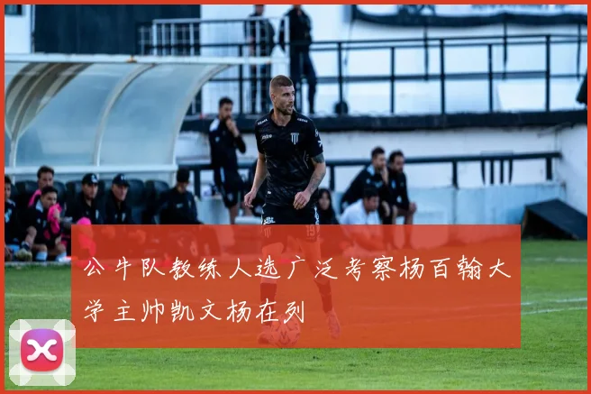 公牛队教练人选广泛考察杨百翰大学主帅凯文杨在列