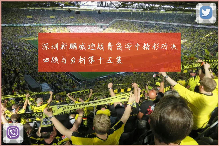 深圳新鹏城迎战青岛海牛精彩对决回顾与分析第十五集